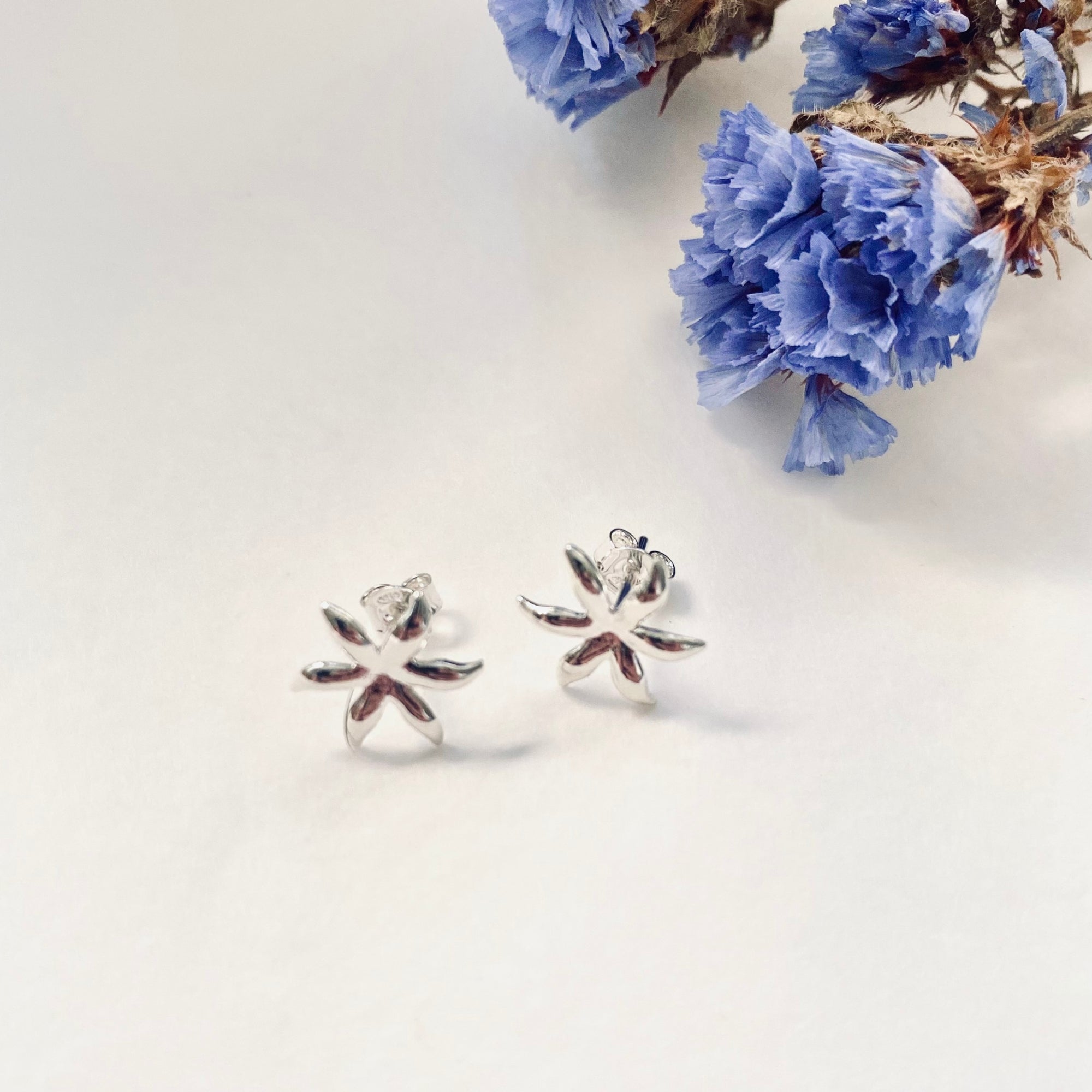 Tessa silver hot sale stud earrings